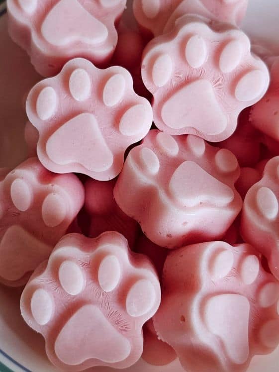 Paw shaped watermelon and yogurt frozen dog treats.