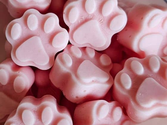 Paw shaped watermelon and yogurt frozen dog treats.