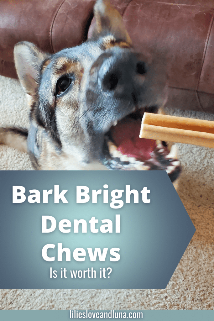 Pin image for Bark Bright dental chews with a German Shepherd about to bight a dental chew.