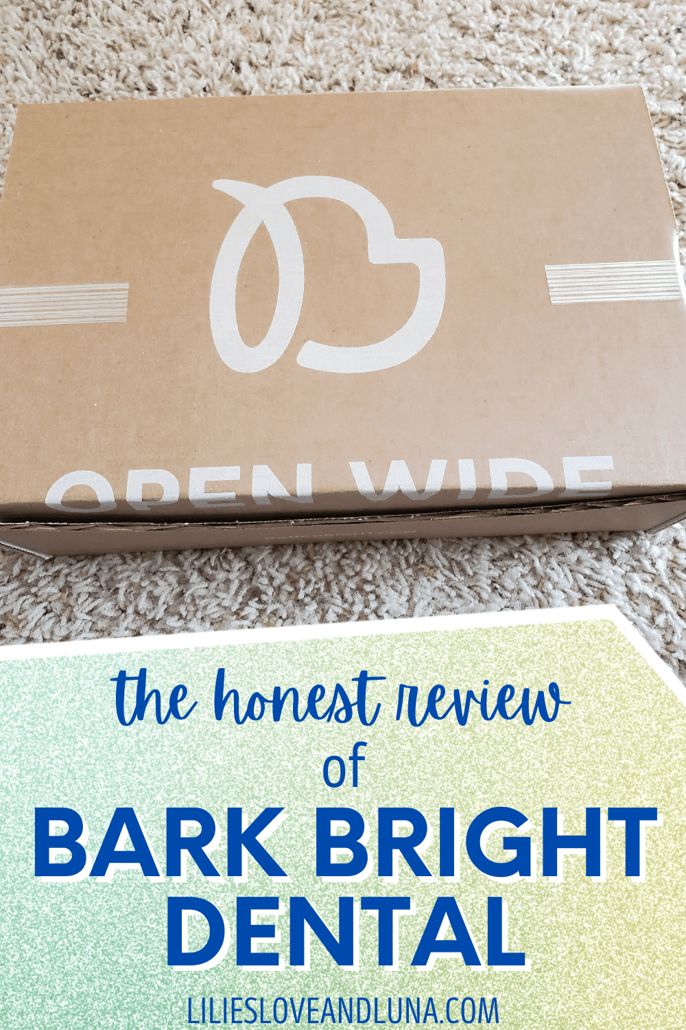 Pin image of a review of Bark Bright Dental with an unopened Bark Bright box.