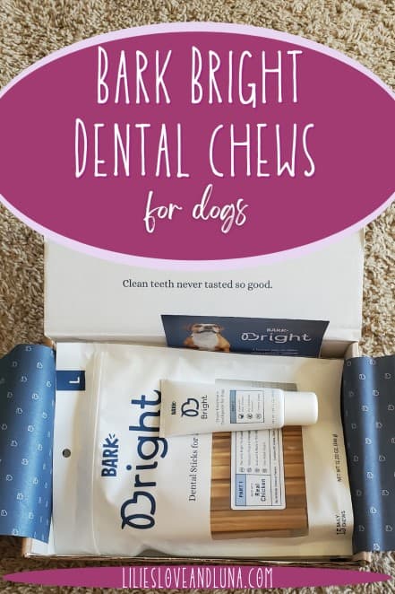 Pin image of an open box of Bark Bright with the dental chews and toothpaste.