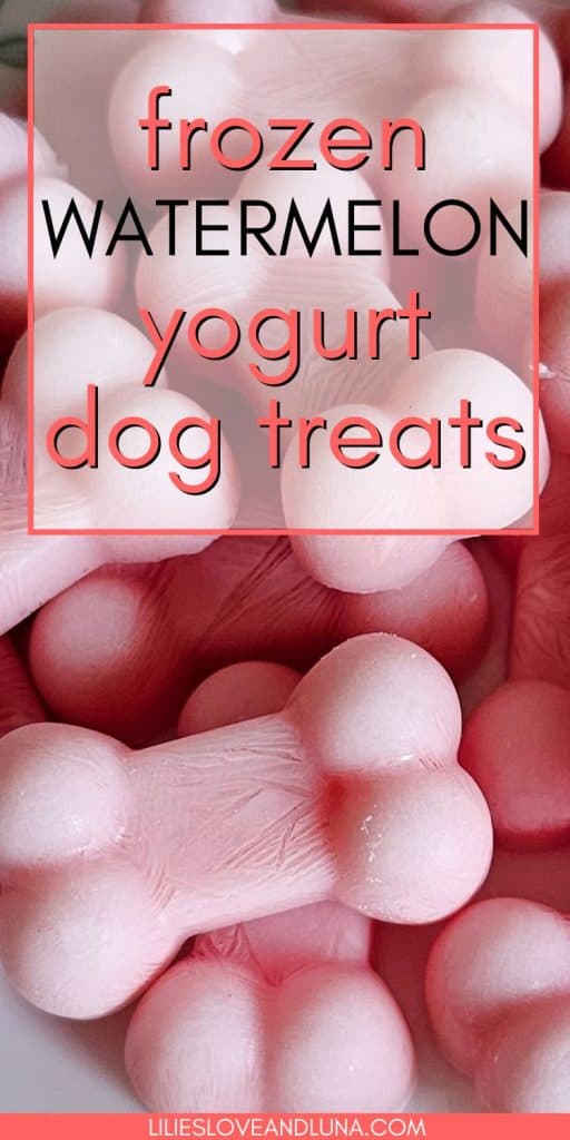 Pin image of bone shaped frozen dog treats with a text overlay that reads frozen watermelon yogurt dog treats.