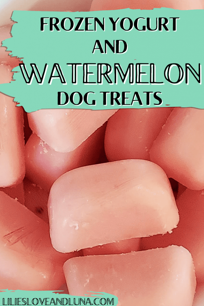 Pin image for frozen watermelon and yogurt dog treats with ice cube shaped treats.