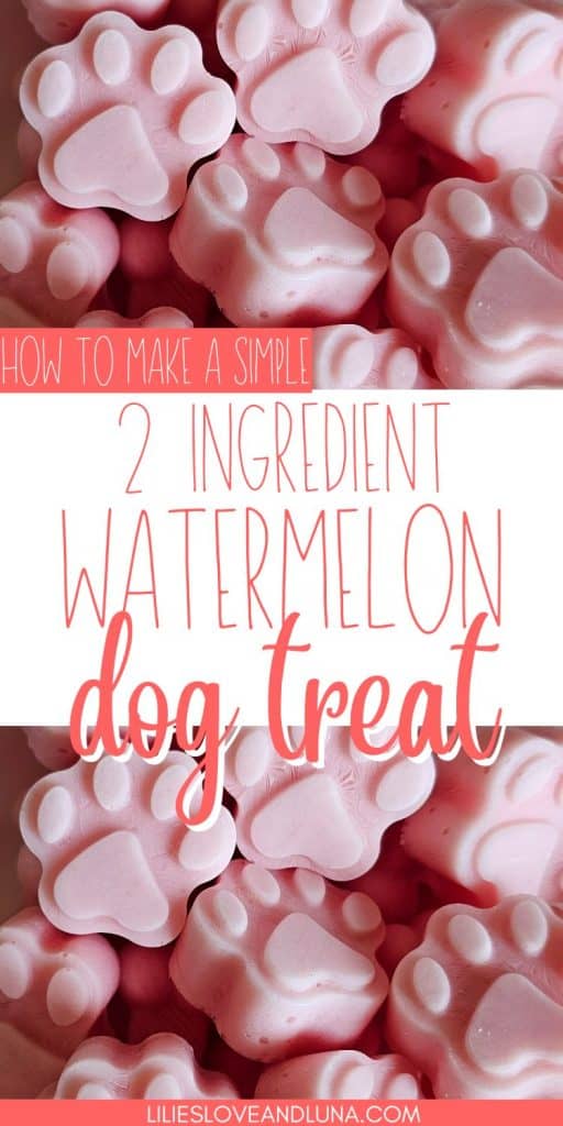 Pin image of paw shaped frozen dog treats with a text overlay that reads how to make a simple 2 ingredient watermelon dog treat.