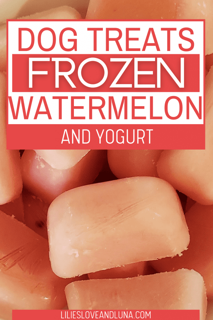 Pin image for dog treats frozen watermelon and yogurt with ice cube shaped treats.