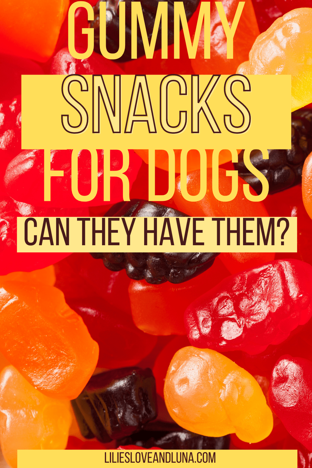 Can Dogs Eat Fruit Snacks? Lilies, Love, and Luna