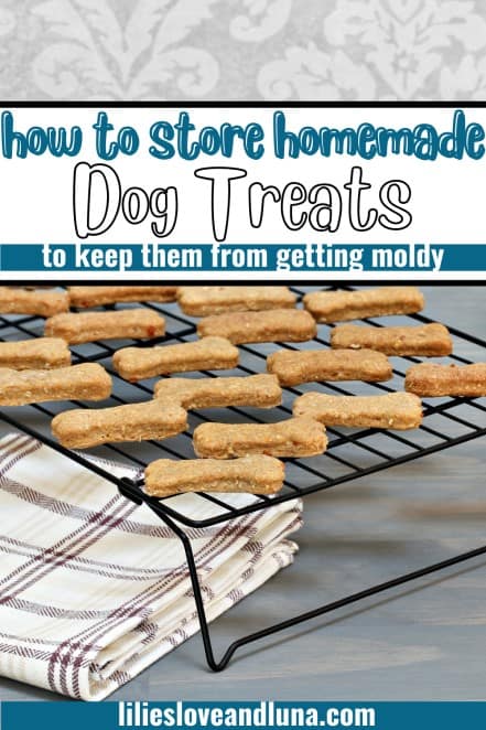 Homemade Baked Dog Treat Shelf Life and Storage - Dalmatian DIY