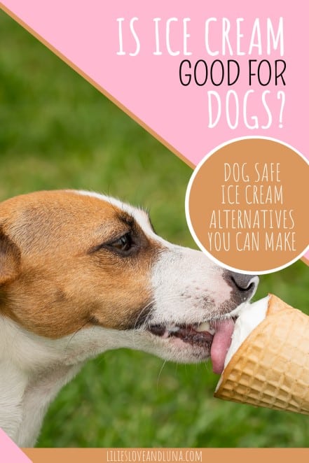 Pin image for Is ice cream good for dogs, dog safe ice cream alternatives you can make with a brown and white dog licking an ice cream cone.