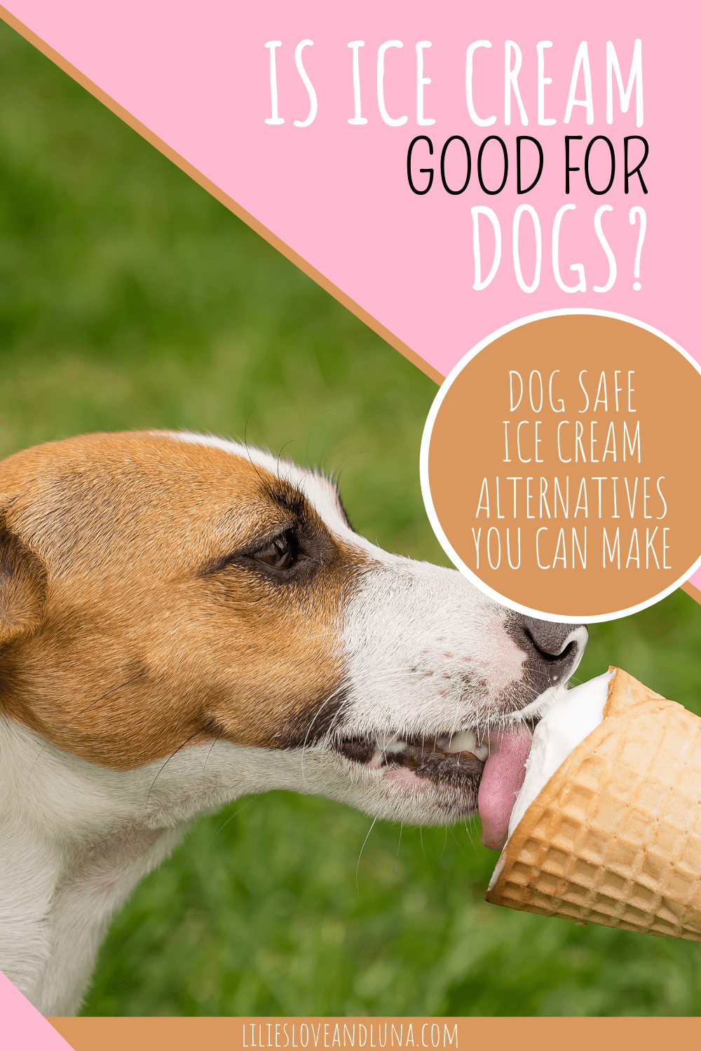 Can Dogs Eat Ice Cream? Lilies, Love, and Luna