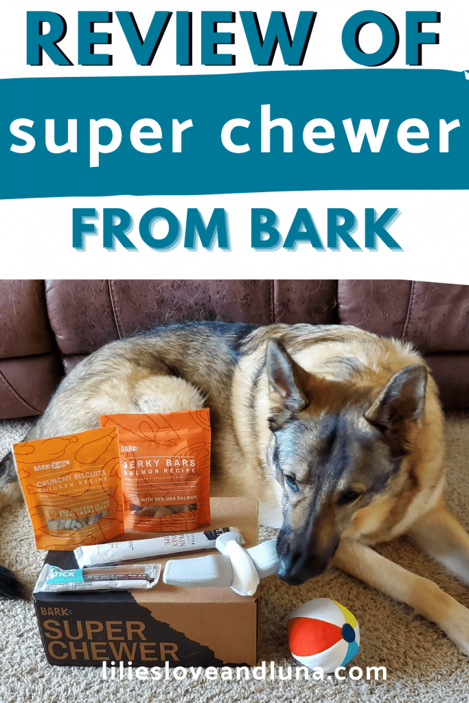 Pin image of a Review of Super Chewer from Bark with a German Shepherd sniffiing the toys and treats from Super Chewer.