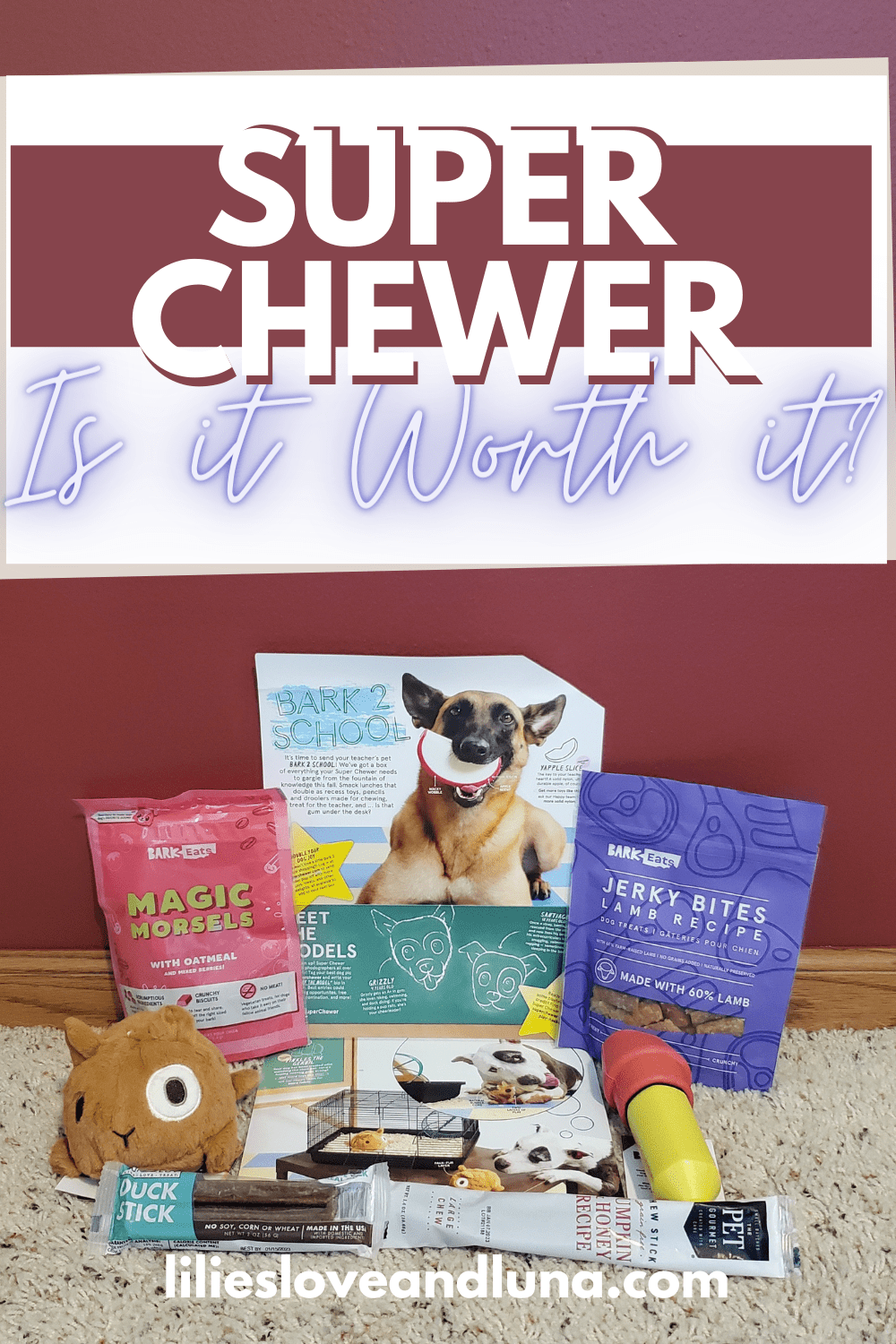Pin image of Super Chewer: Is it worth it? with school themed dog toys and treats.