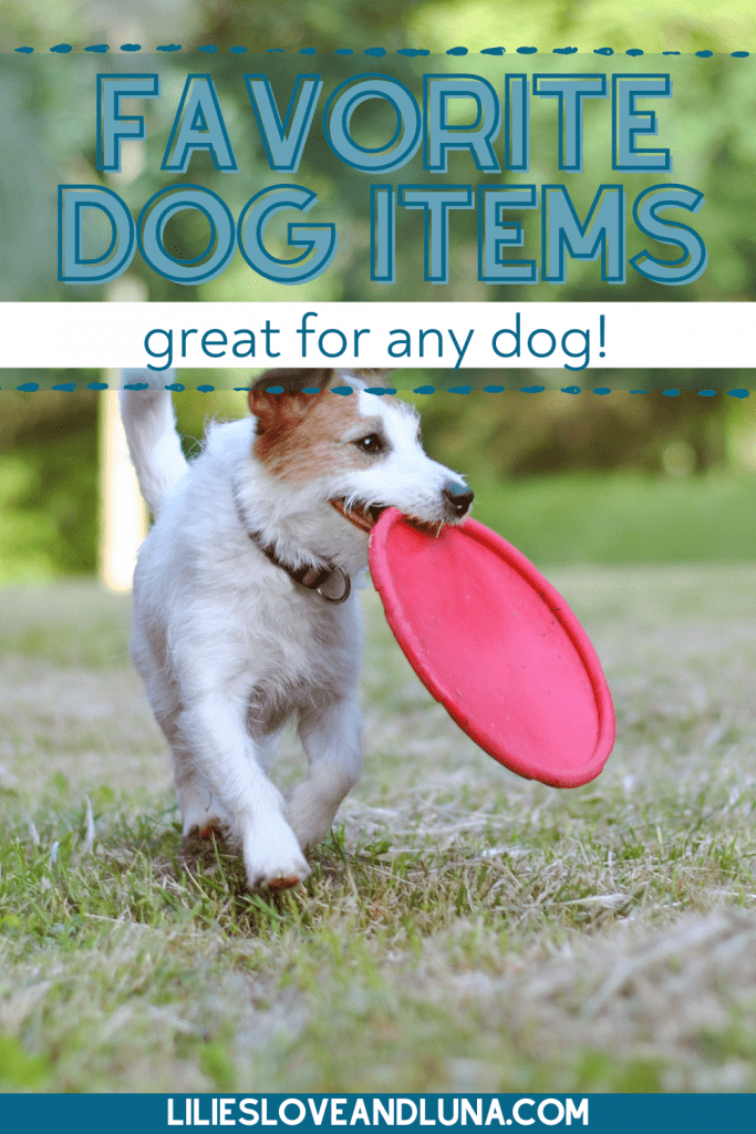 Pin image of favorite dog items great for any dog with a small white dog carrying a red frisbee.