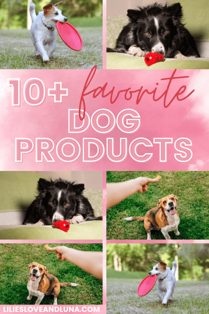 Pin image of 10+ favorite dog products with 6 dogs with various dog toys and treats..