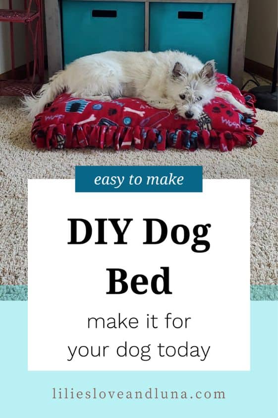 Pin image for easy to make diy dog bed with a small white dog laying on a diy fleece dog bed.