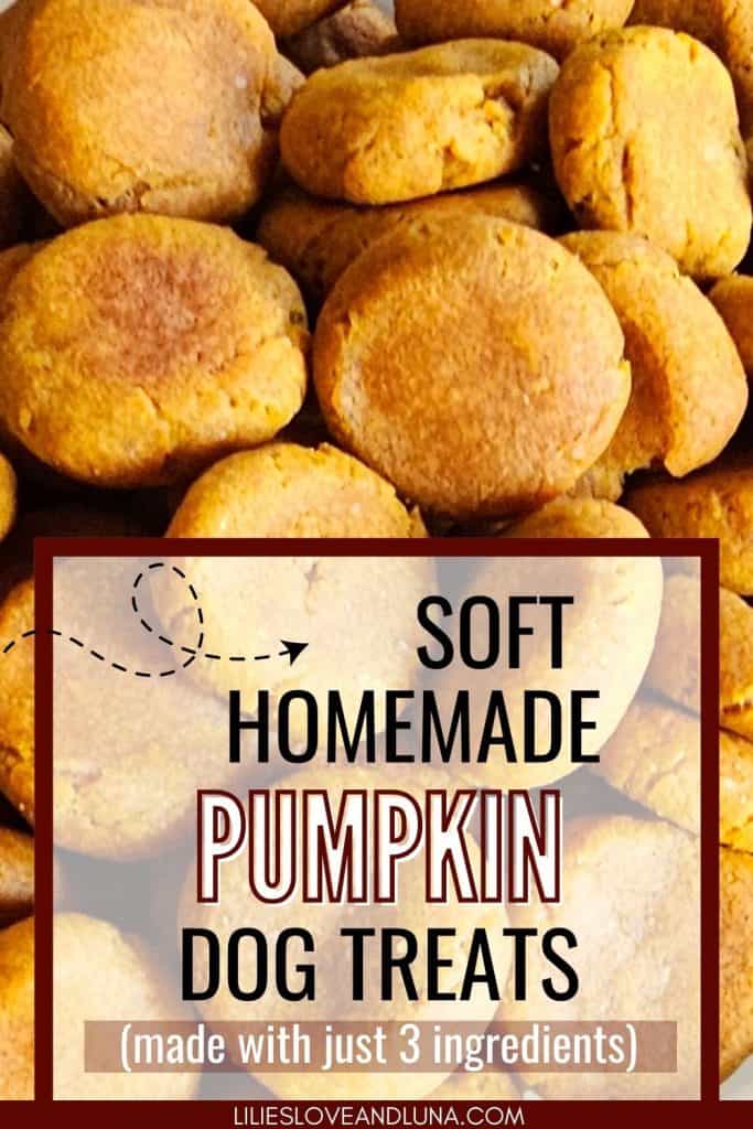 A close-up of a pile of soft, round, homemade dog treats made from three ingredients, prominently featuring pumpkin.