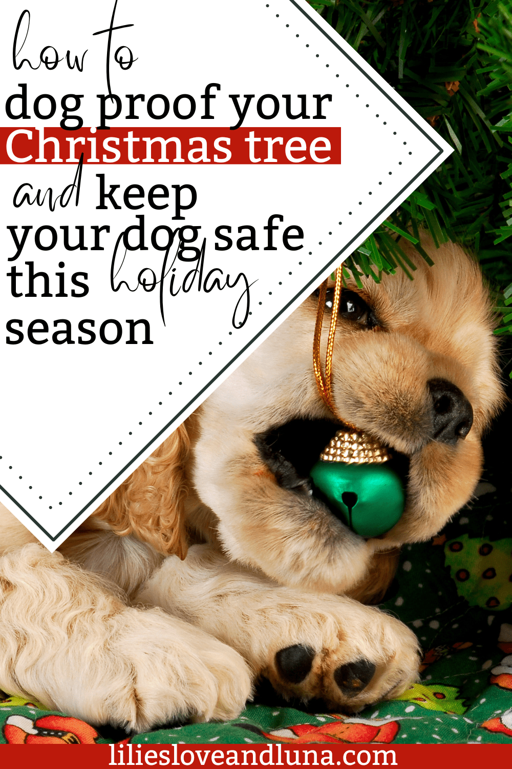 Dog Proof Your Christmas Tree with These Simple Tips - Lilies, Love ...