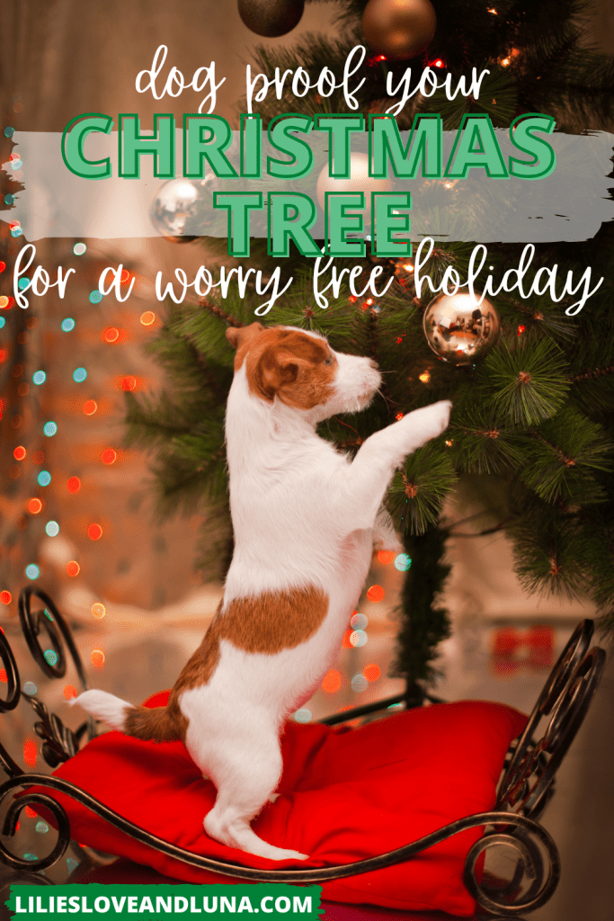 Pin image for dog proof your Christmas tree for a worry free holiday with a dog standing on their hind legs pawing an ornament.