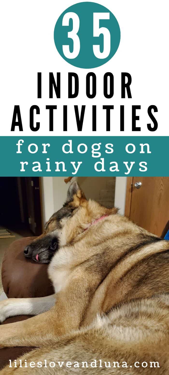 Pin image for 35 indoor activities for dogs on rainy days with a picture of a German Shepherd sleeping.