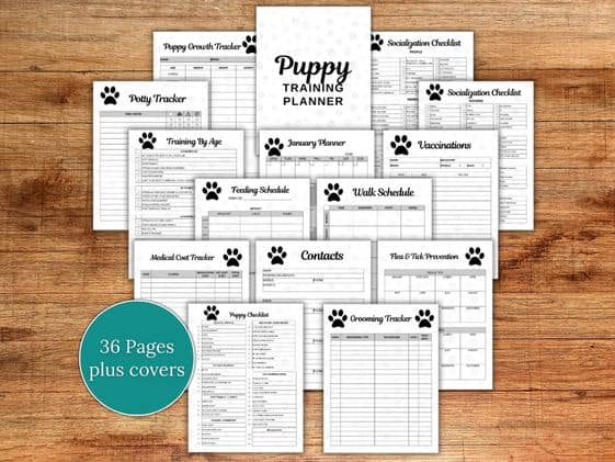 Mockup of a printable puppy training planner.