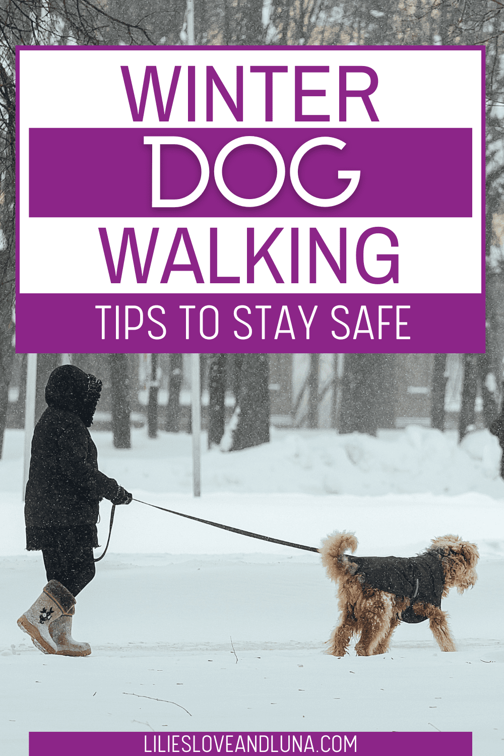 Pin image for winer dog walking tips to stay safe with a person walking a dog in the snow.