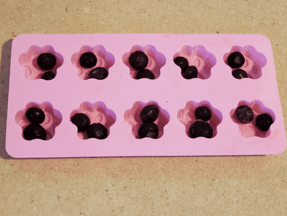 Blueberries in a paw shaped mold.
