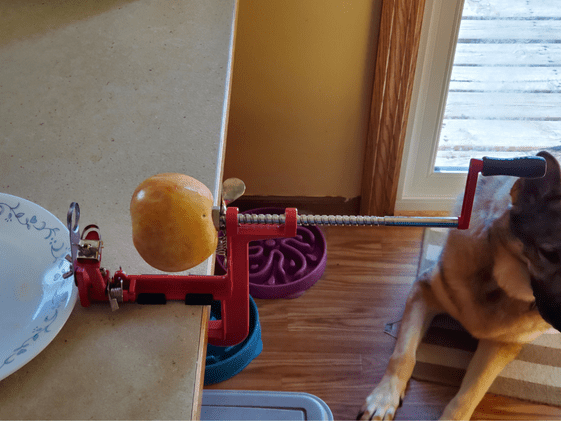 An apple on the apple peeler, corer, slicer.