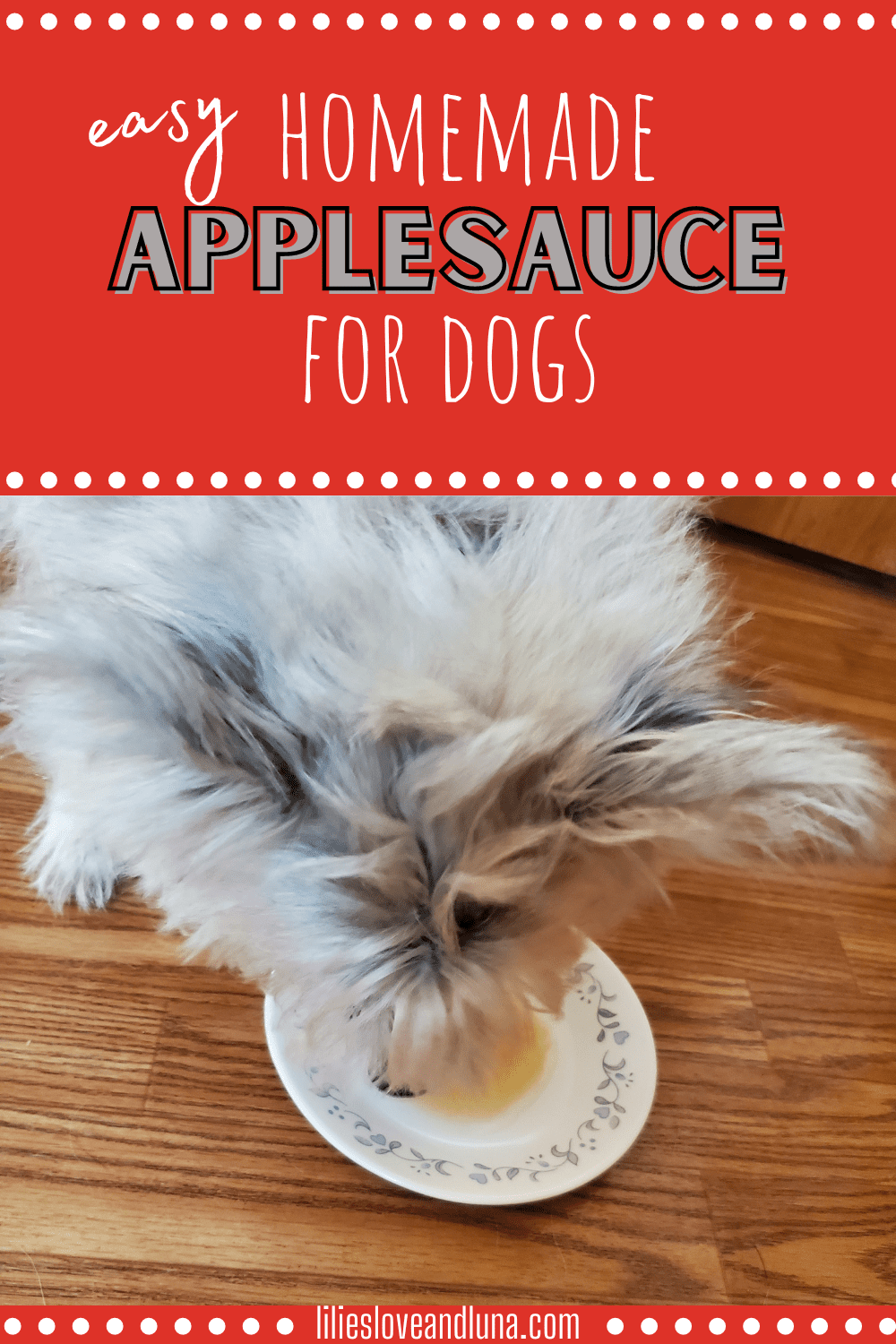 How To Make The Best Applesauce For Dogs Lilies, Love, and Luna