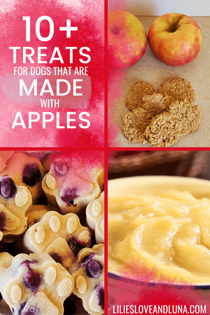 Pin image for 10+ treats for dogs that are made with apples with images of applesauce, frozen applesauce treats, and baked apple treats next to two apples.