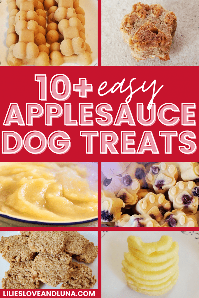 Pin image for 10 applesauce dog treats with pictures of applesauce, apples, frozen applesauce treats, and baked applesauce dog treats.