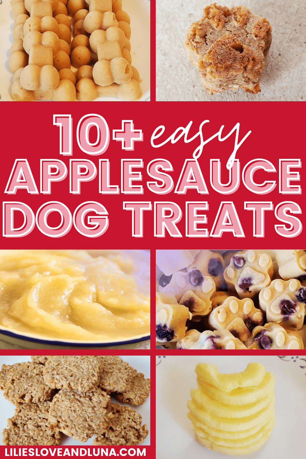 Our Favorite Apple Recipes For Dogs Lilies, Love, and Luna