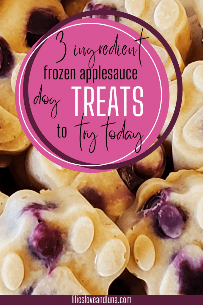 Pin image for 3 ingredient frozen applesauce dog treats to try today.