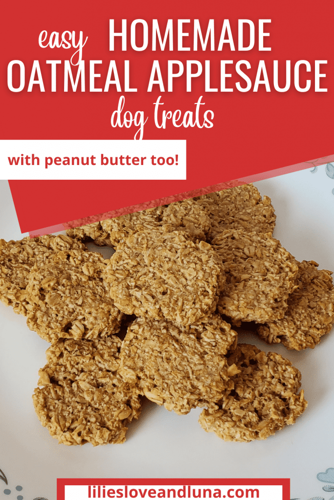 Pin image for easy homemade oatmeal applesauce dog treats with peanut butter with an image of the baked treats on a plate.