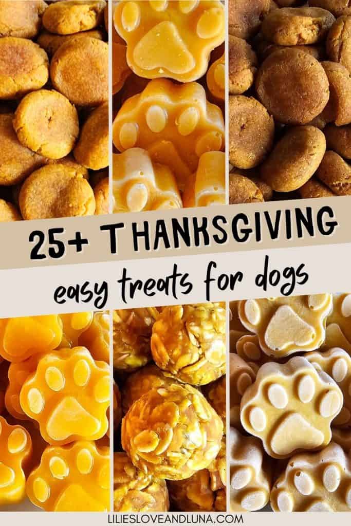 A variety of homemade dog treats, including paw-shaped and round cookies, are displayed together with a label promoting "25+ Thanksgiving easy treats for dogs."