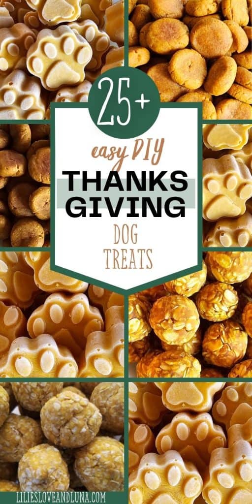 A collage of various homemade dog treats, featuring paw-shaped snacks and round bites, accompanied by the title "25+ Easy DIY Thanksgiving Dog Treats."