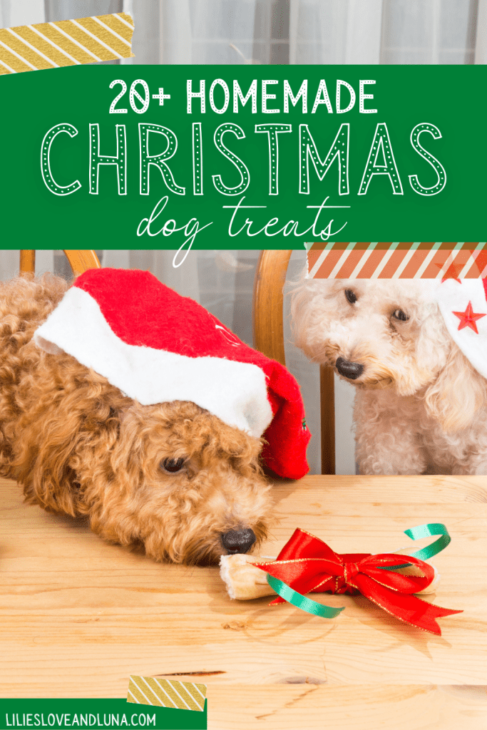 Pin image for 20+ homemade Christmas dog treats with two dogs looking at a treat with a bow on it.
