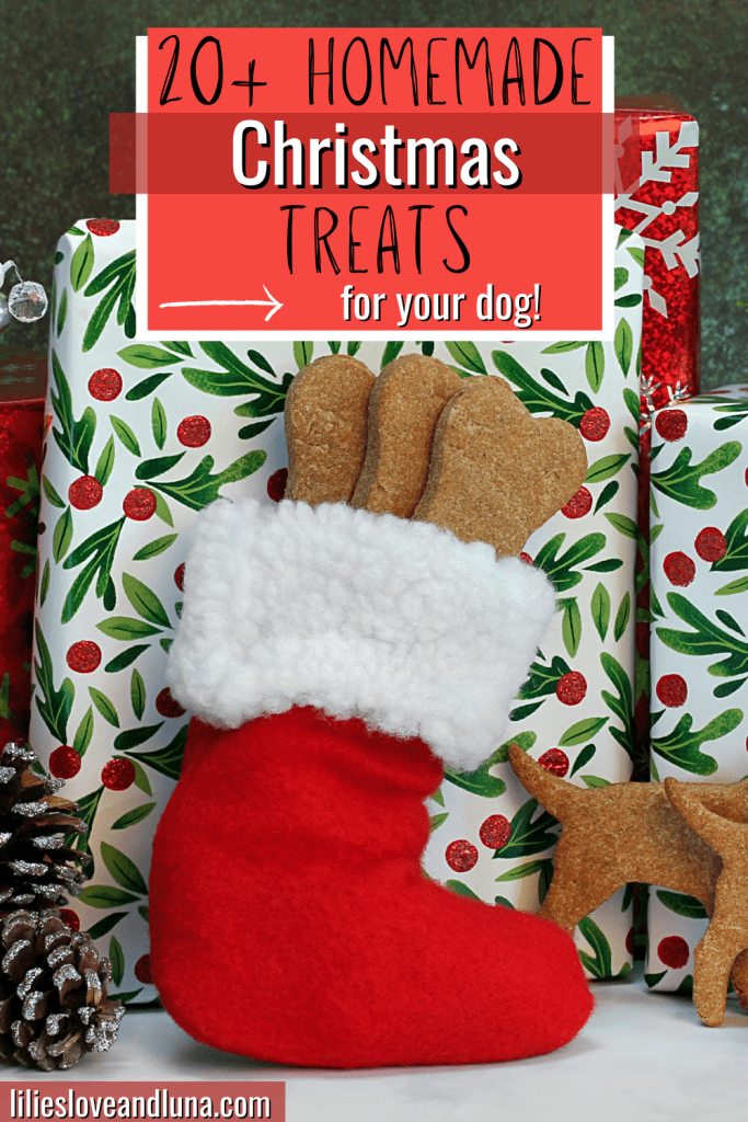 Pin image for 20+ homemade Christmas treats for your dog with a stocking full of dog treats in front of a Christmas gift.