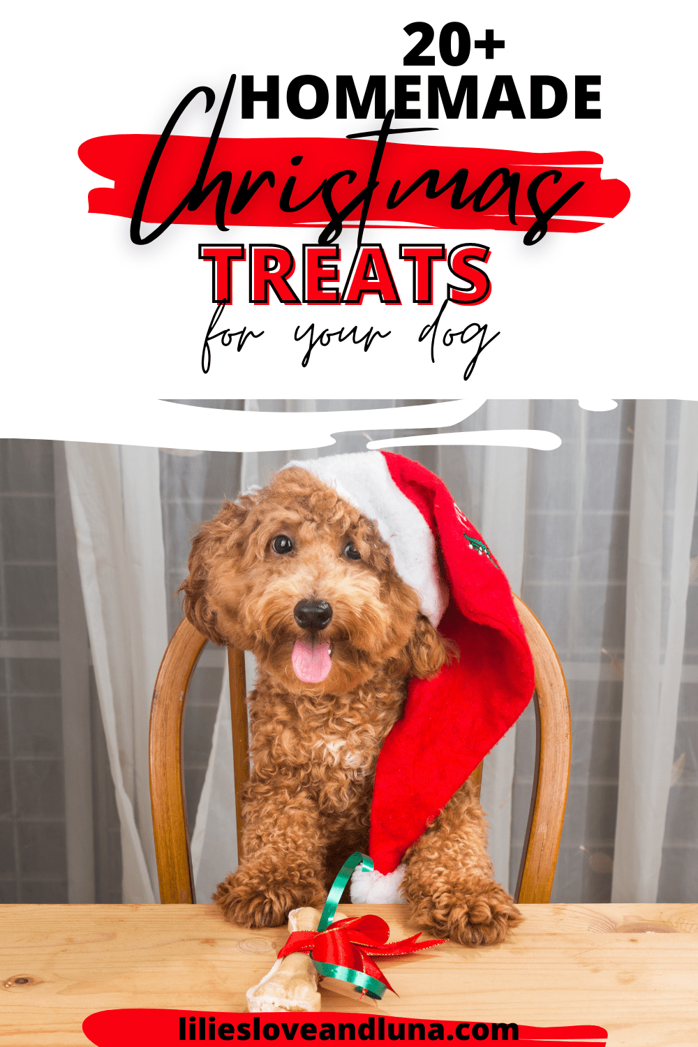 Pin image for 20+ homemade Christmas treats for your dog with a dog with its paws on the table next to a treat with a bow on it.