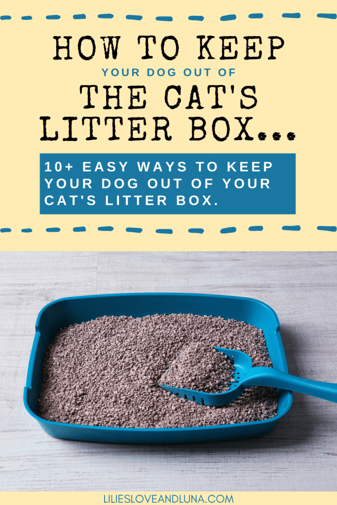 Pin image for how to keep your dog out of the cat's litter box with an image of a litter box.