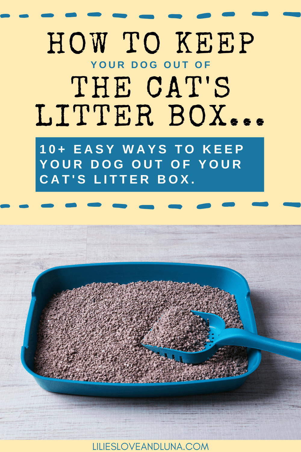Tips for Keeping Dogs Away from the Cat's Litter Box Lilies, Love