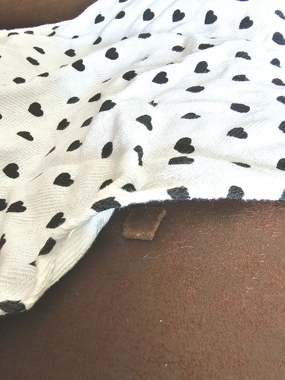 A dog treat underneath a towel.