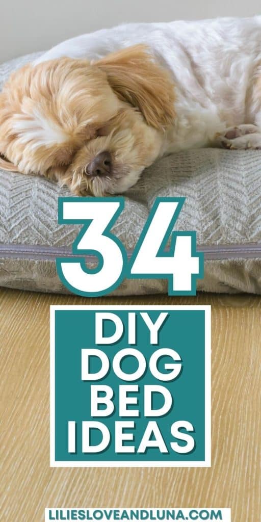 Pin image for 34 DIY dog bed ideas with a dog laying on a pillow style dog bed.