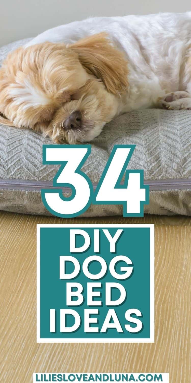 34 Cute DIY Dog Bed Ideas To Pamper Your Dog With Lilies, Love, and Luna