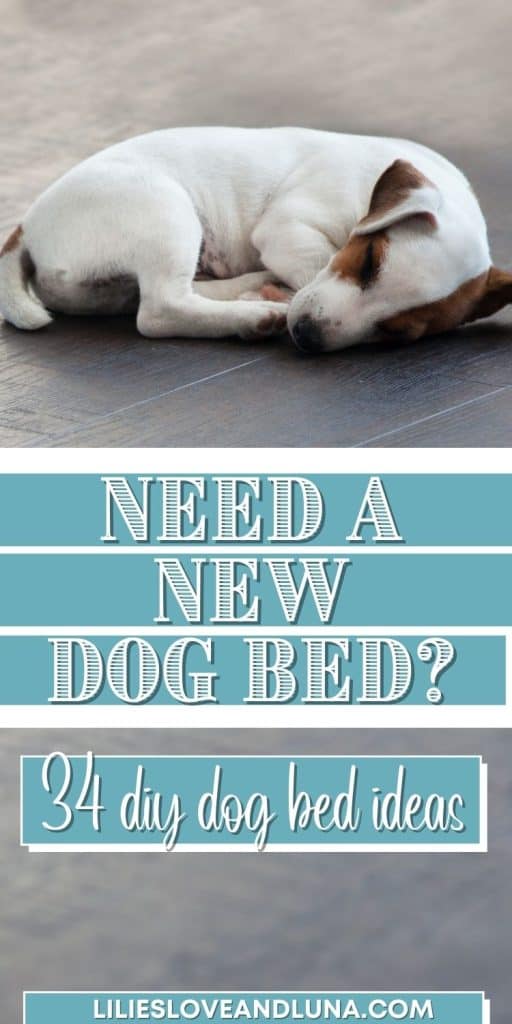 Pin image with the words "need a new dog bed? 34 diy dog bed ideas" underneath an image of a dog sleeping on the floor.