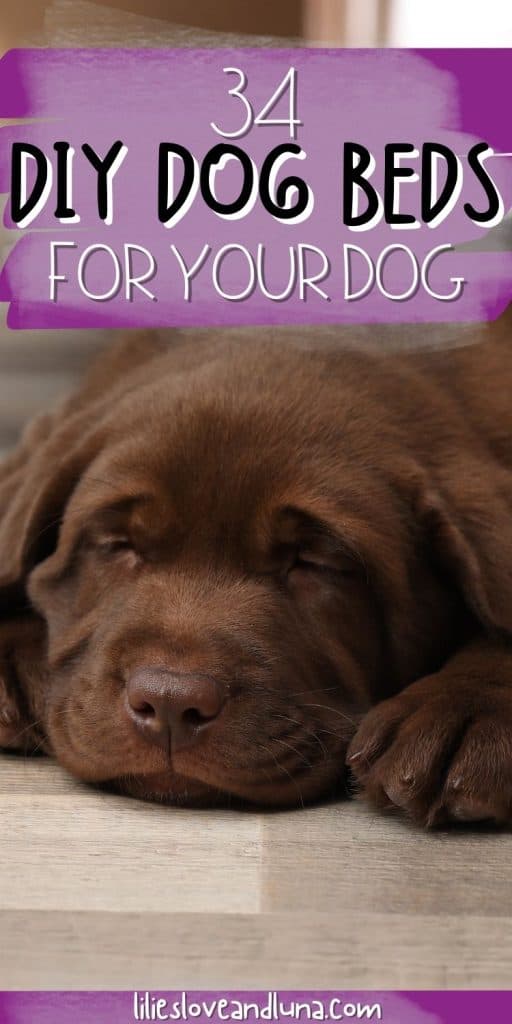 Pin image for 34 DIY dog beds for your dog with a sleeping chocolate lab puppy.