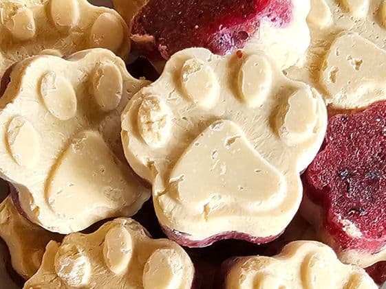 Paw shaped peanut butter and jelly frozen dog treats.