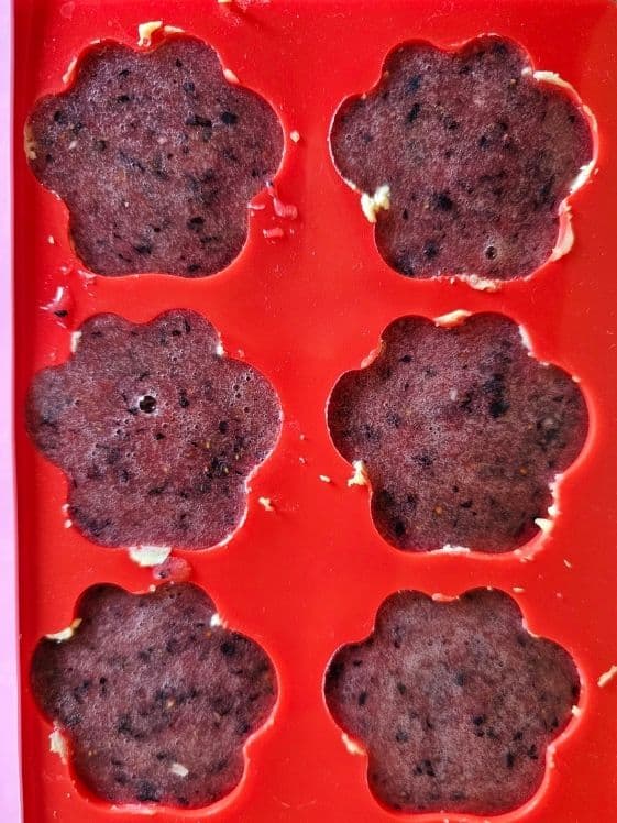Paw shaped silicone molds ready for the freezer.