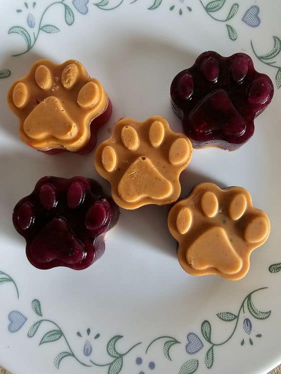 Paw shaped peanut butter and jelly dog treats.