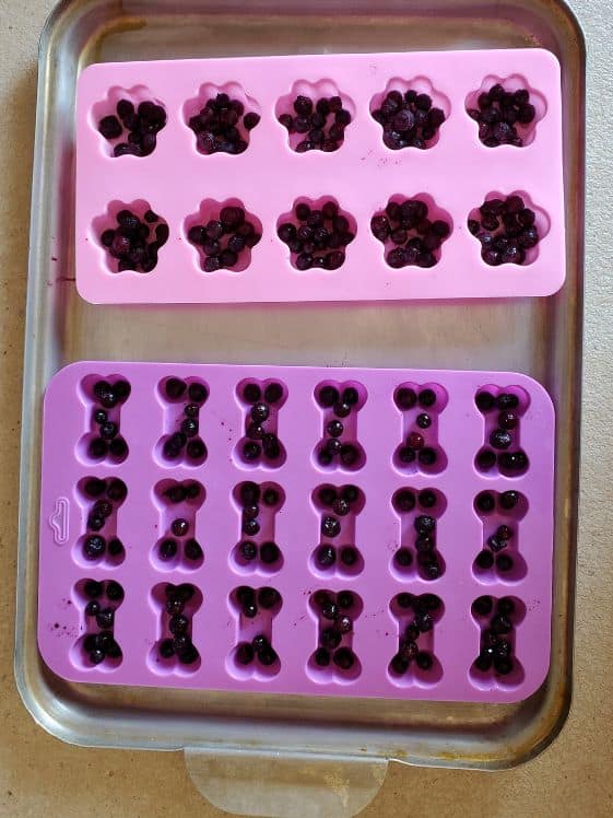 Paw and bone shaped silicone molds with blueberries covering the bottom of each spot.