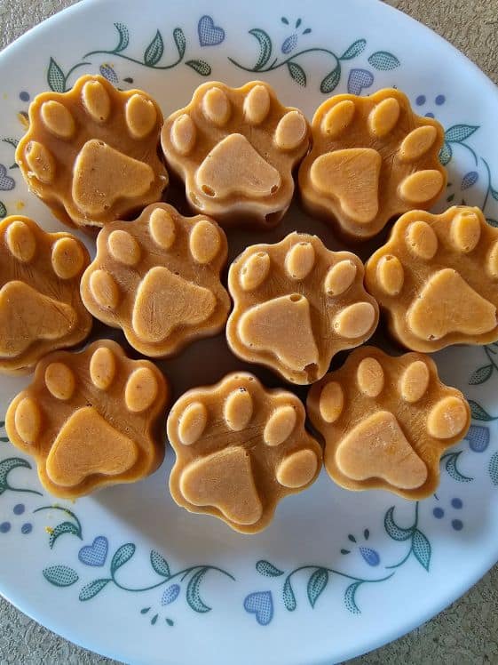 The Benefits of Frozen Dog Treats: Here Are a Few Recipes To Keep