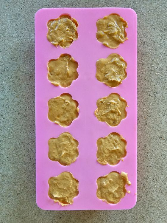 Paw shaped silicone molds ready to go in the freezer.